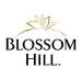 blossom_hill_logo
